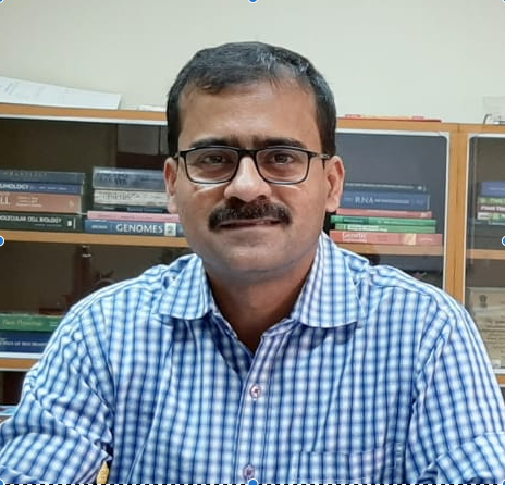 Subhankar Roy Barman